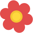 Spring-Summer Term